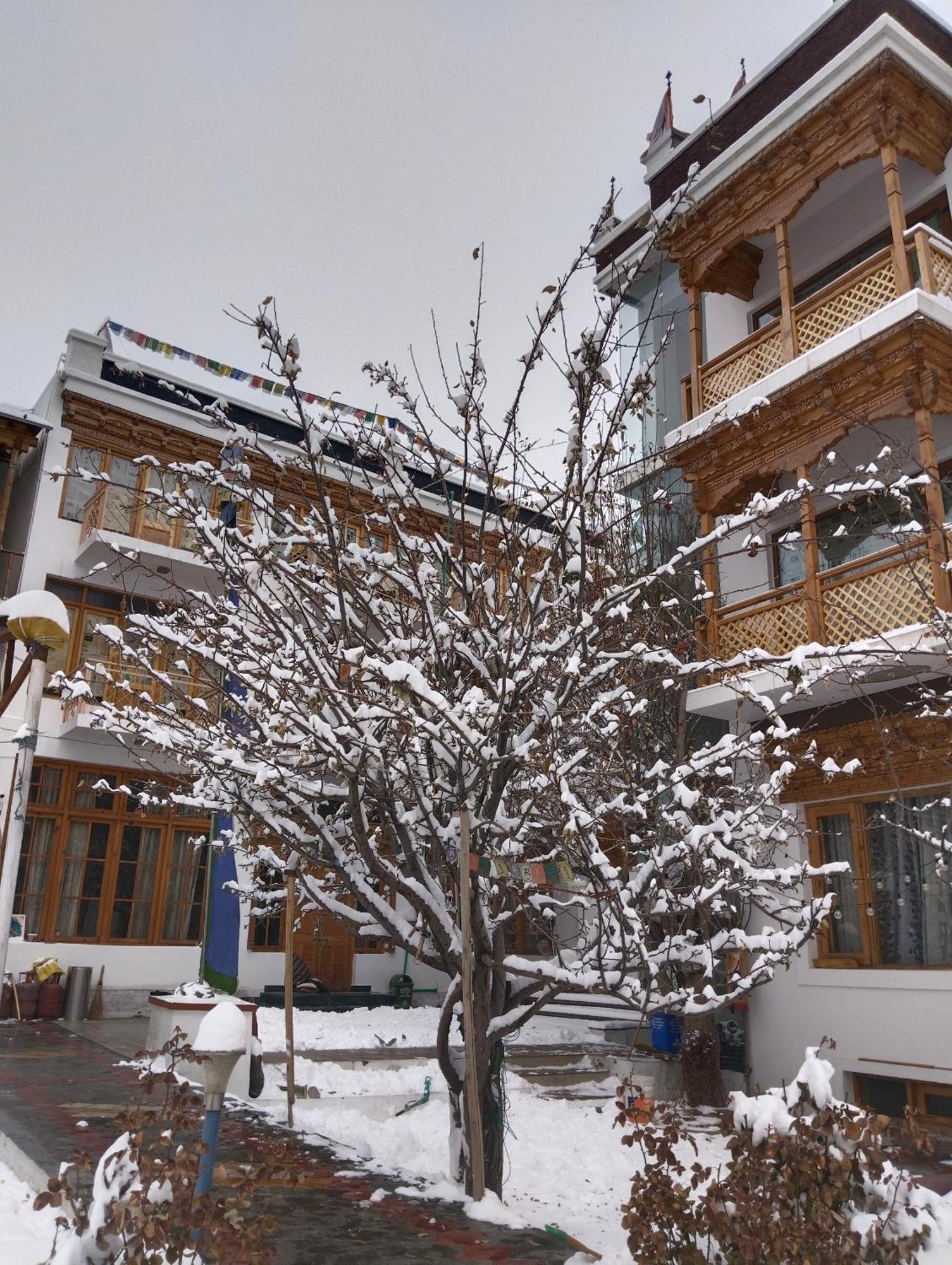 Hotel Jigmet, Leh Eksteriør billede